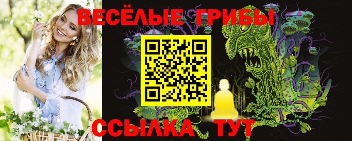 Псилоцибиновые грибы мицелий  Псилоцибиновые грибы мухоморы  Тавда  Вход с VPN 