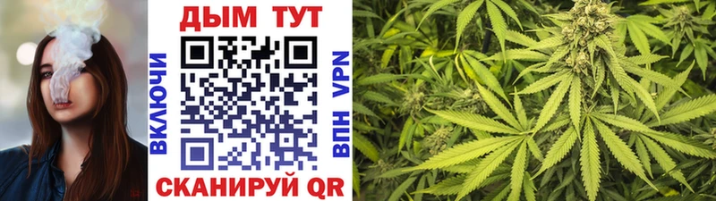 купить  цена  Тавда  Конопля VHQ 