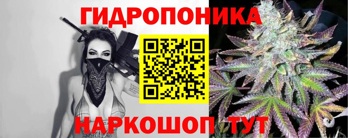 Тавда  Конопля планчик  МАРИХУАНА план  Вход с VPN  МАРИХУАНА VHQ  Шишки марихуана семена 